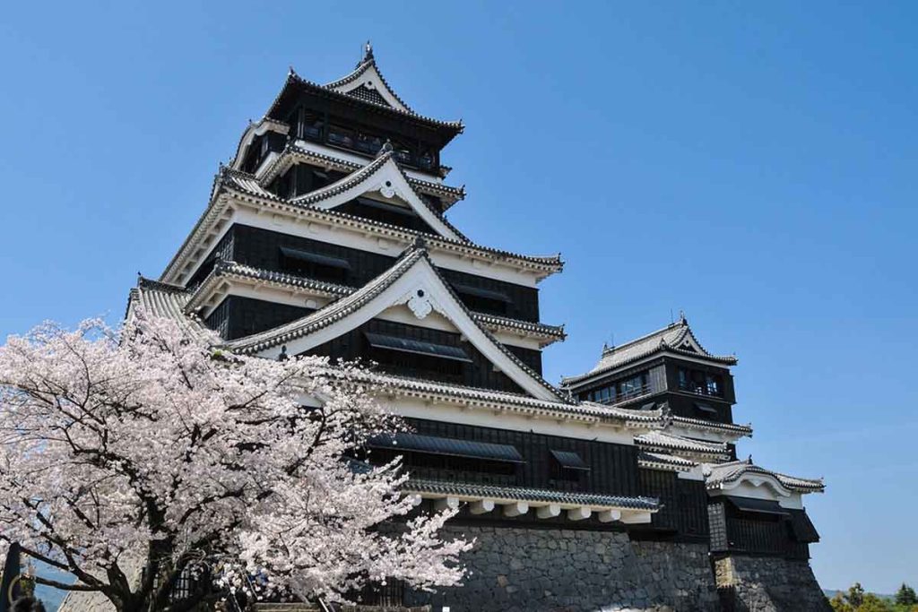 Primavera en Japón: Descubre las maravillas de los Cerezos 4
