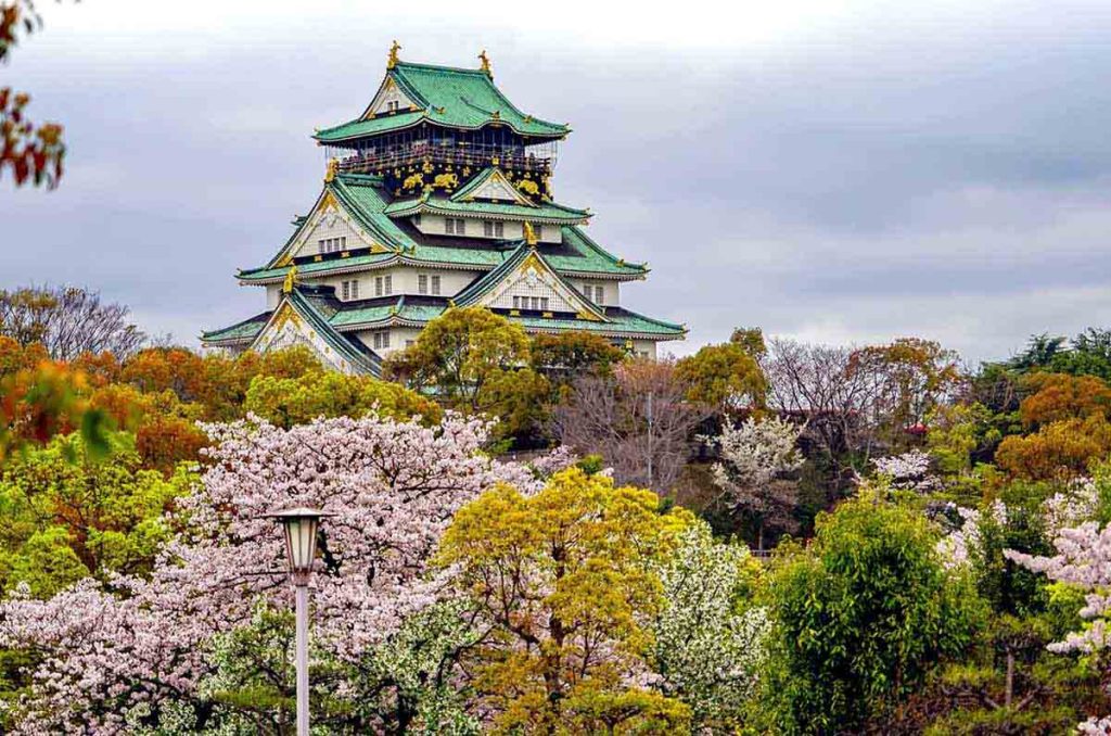 Descubre las maravillas de la primavera en Japón con los festivales de cerezos en flor. ¡Más viajeros mexicanos eligen Japón!