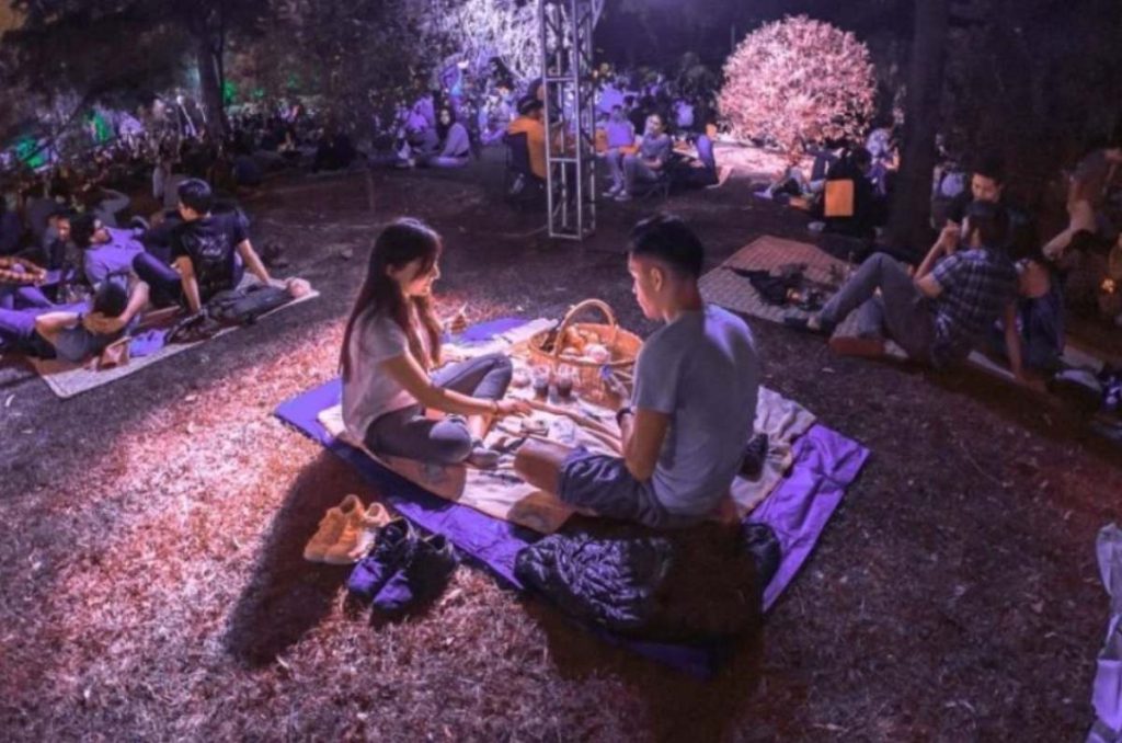 picnic San Valentín aragón