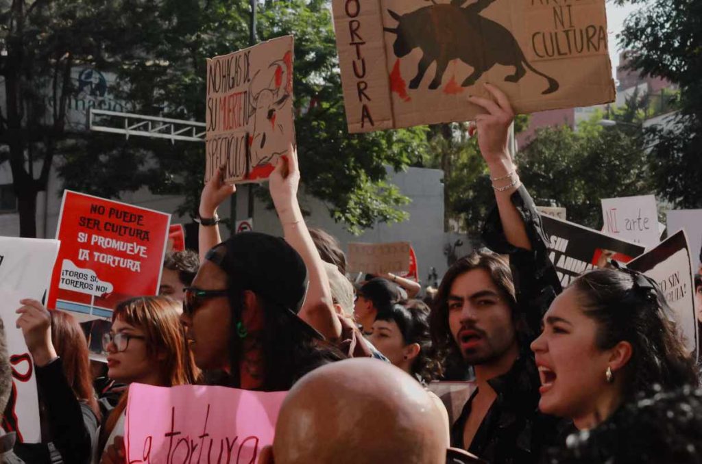Siguen las corridas de toros, jueza niega suspensión definitiva 1