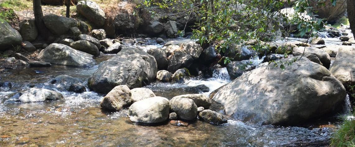 Conoce el Río Magdalena de CDMX ¡el último caudal vivo de la ciudad! 0