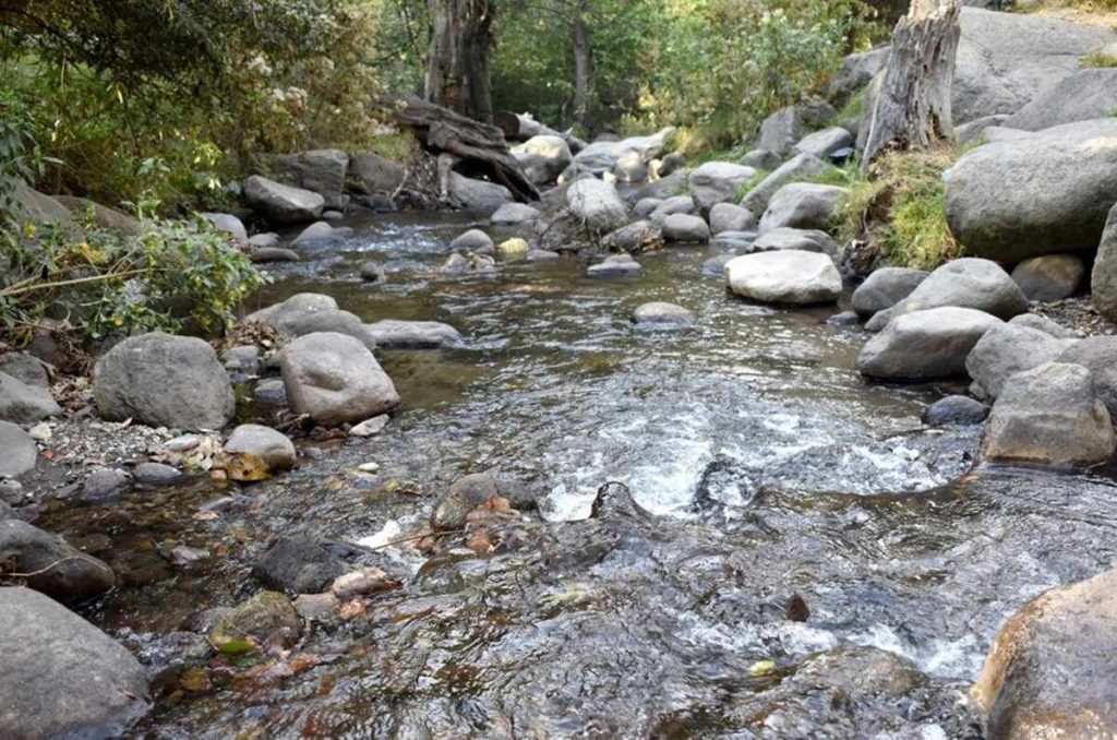 Conoce el Río Magdalena de CDMX ¡el último caudal vivo de la ciudad!