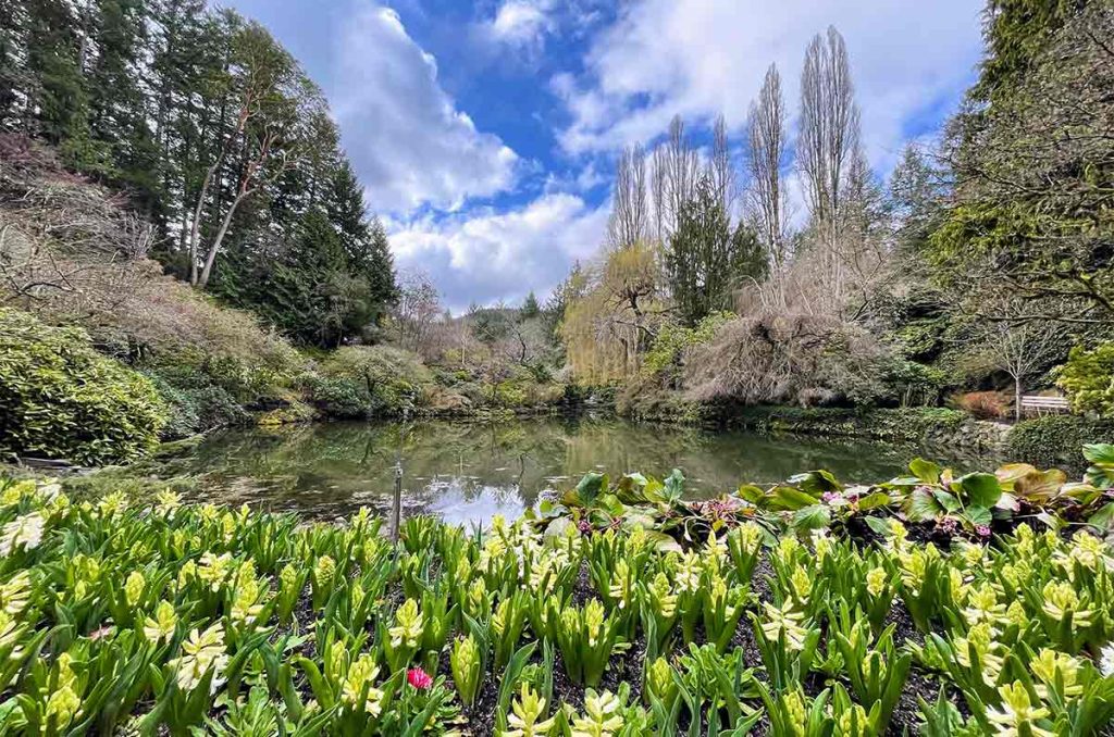 The Butchart Gardens