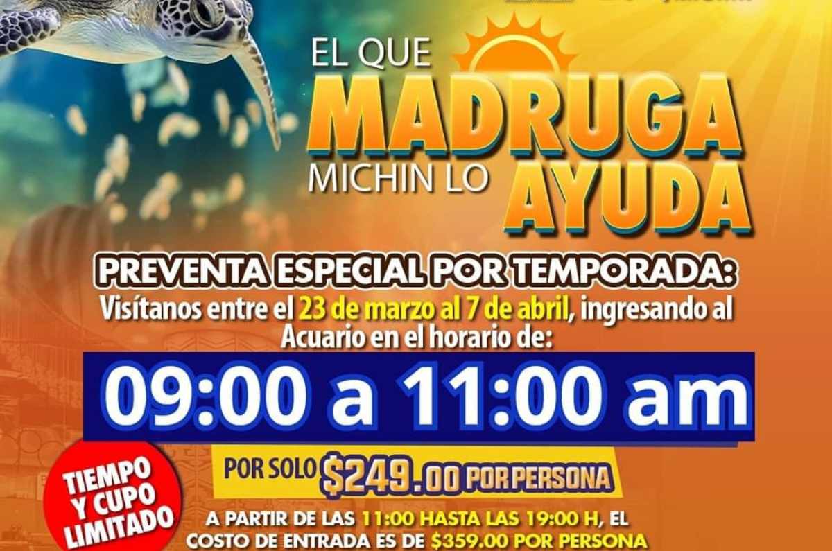 acuario-michin-promocion