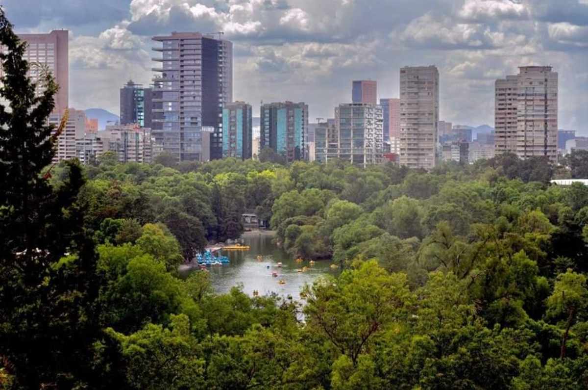 Foto: Bosque de Chapultepec vía X (@ChapultepecCDMX)