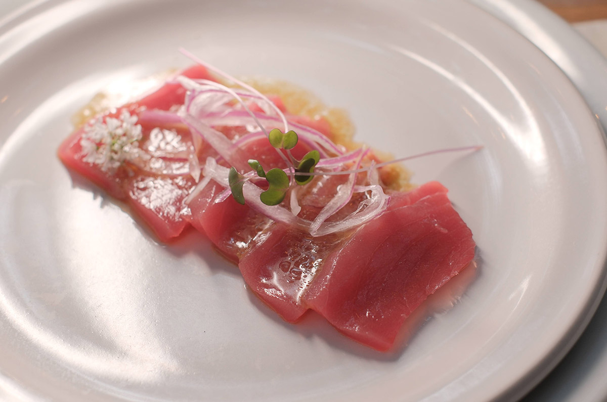 atun-gourmet-descubre-mazatlan-y-su-rica-gastronomia-de-la-mano-de-atun-dolores