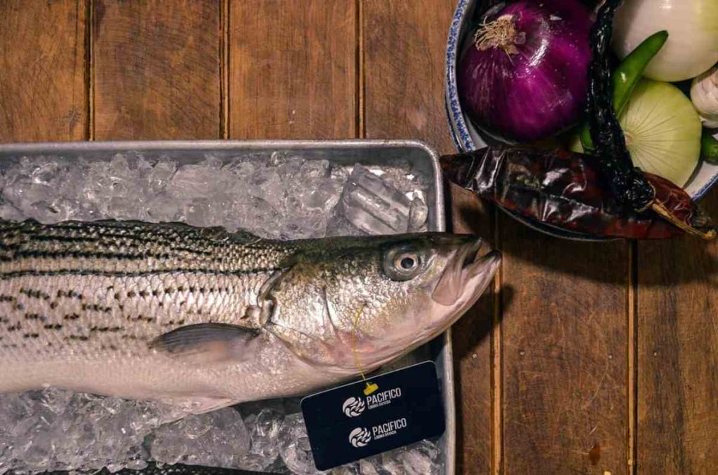 Conoce Cabo San Juan que tiene mariscos frescos y ricos