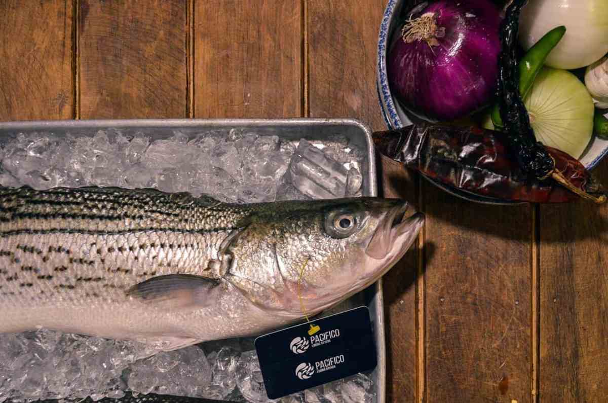 Cabo San Juan: mariscos frescos y ricos en el Mercado de San Juan