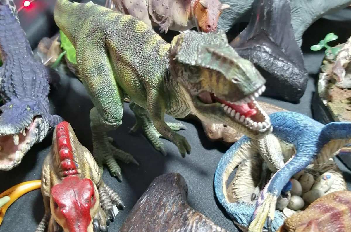 Foto: Expo Fósiles y Minerales CDMX vía Facebook