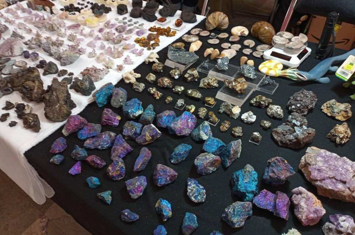 Foto: Expo Fósiles y Minerales CDMX vía Facebook