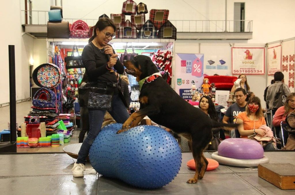 Expo Petcare 2024 en CDMX