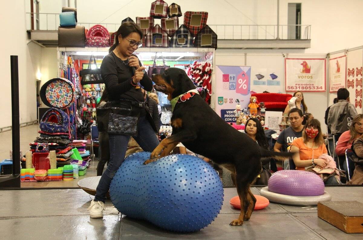 ¡Encuentra todo para tu mascota! Así será la Expo Petcare 2024 en CDMX