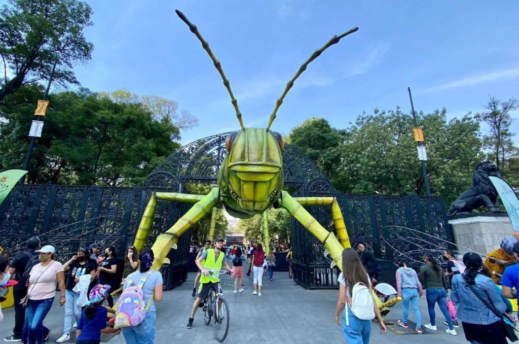 festival-bosque-de-chapultepec-insecta