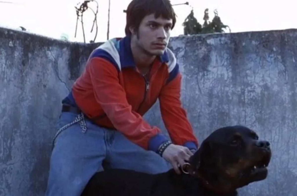 amores perros gratis cineteca