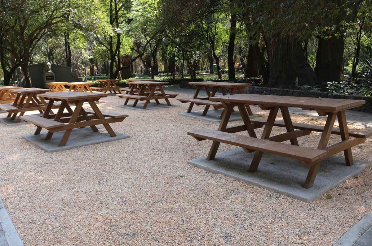 Fotos: Bosque de Chapultepec