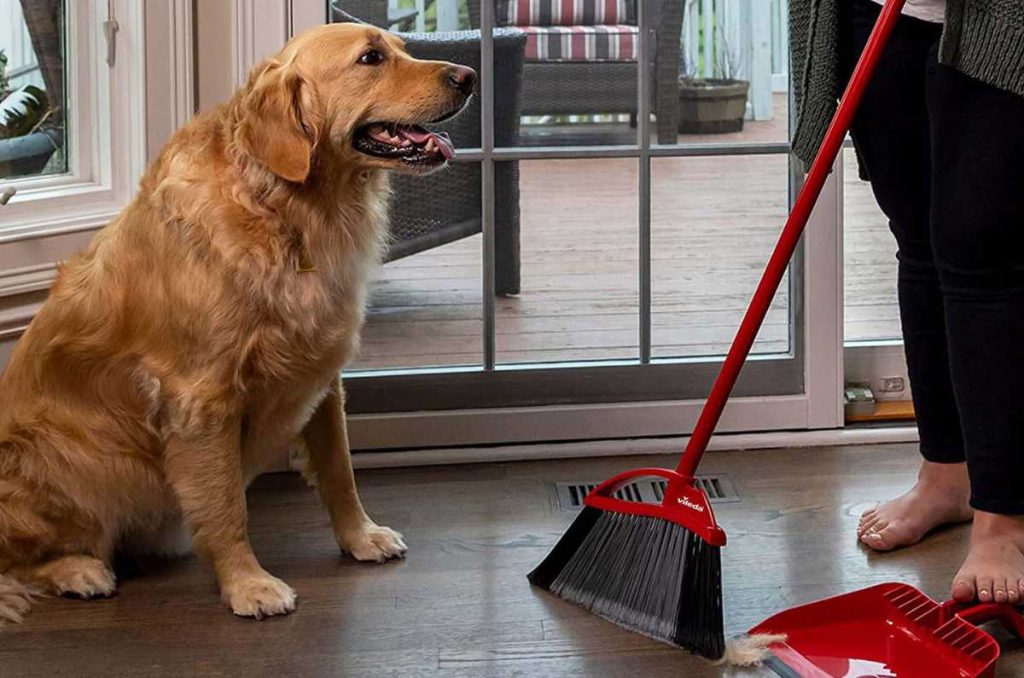 Prueba la escoba que te ayudará a limpiar los pelos de tu mascota