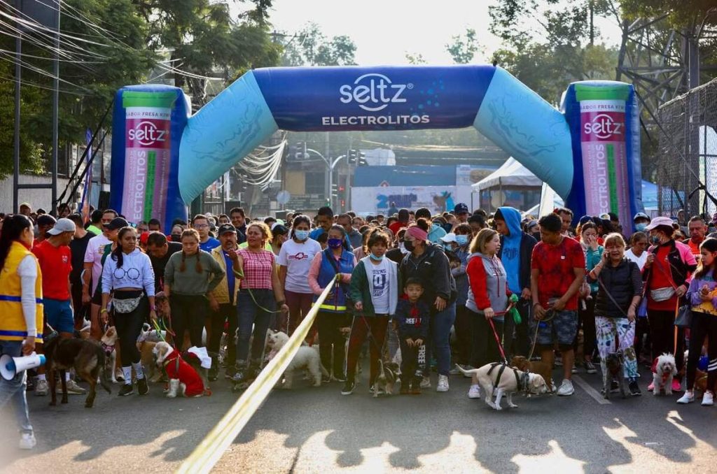 Primer Maratón Canino 2024 en Coyoacán