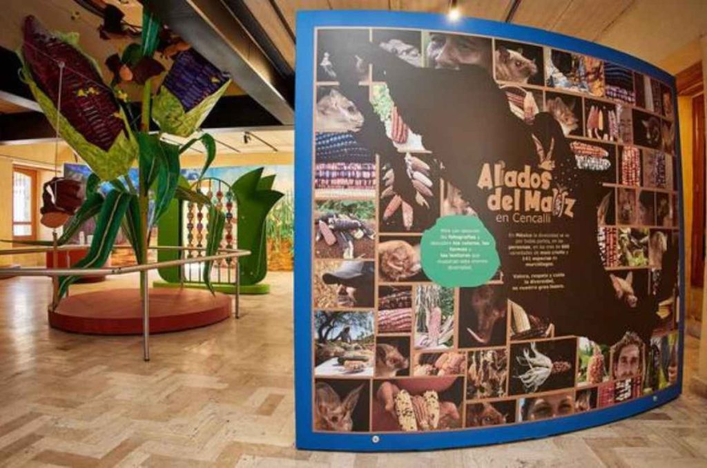 museos nuevos que visitar en cdmx