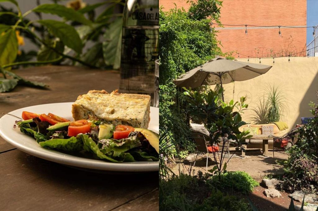 Café 60: un desayuno muy oaxaqueño en este jardín secreto de Popotla