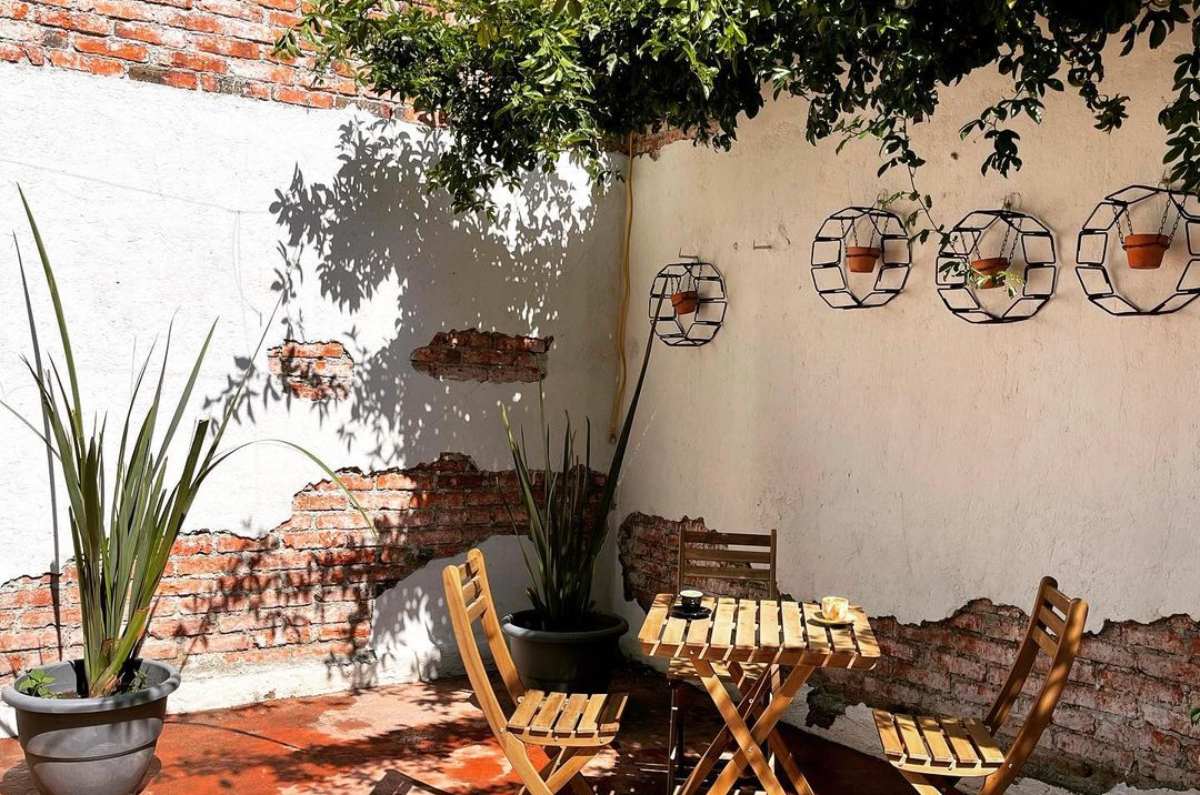 cafe-60-un-desayuno-muy-oaxaqueno-en-este-jardin-secreto-en-popotla-4