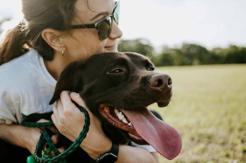 ¿Cuál es el mejor horario para sacar a pasear a tu mascota?