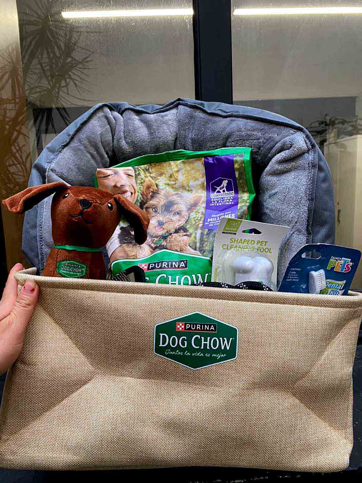 Dog Chow Gran Comienzo el alimento ideal para el desarrollo saludable de tu cachorro desde el primer día