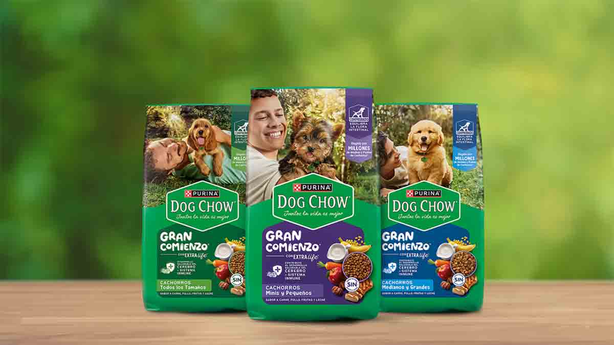 Dog Chow Gran Comienzo el alimento ideal para el desarrollo saludable de tu cachorro desde el primer día