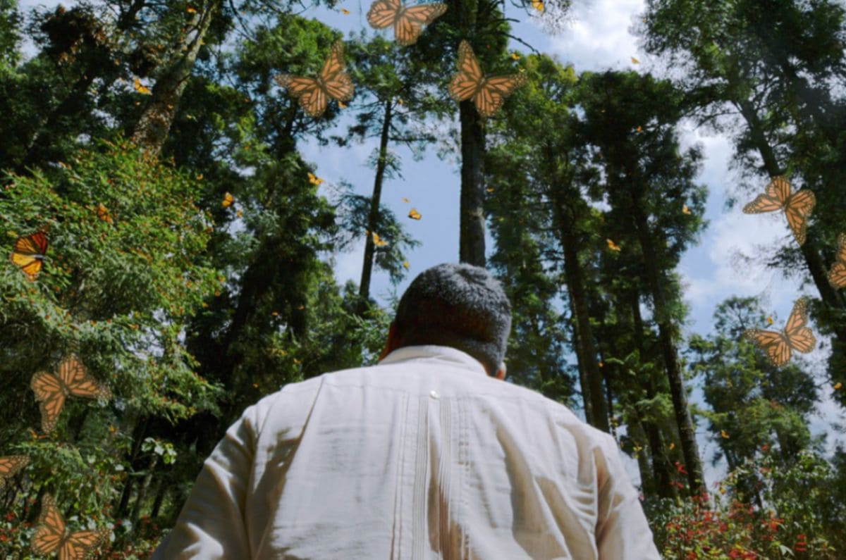 El Guardián de las Monarcas: ¿cuándo llega a Netflix este documental?