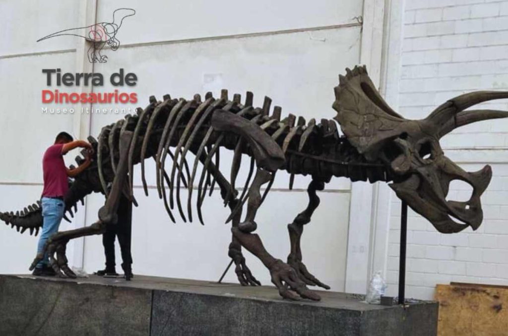 Experiencia inmersiva de dinosaurios en Tlaxcala