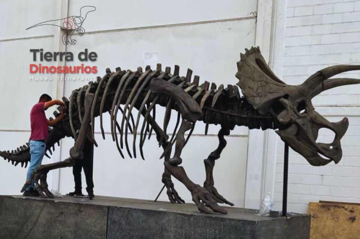 experiencia-inmersiva-dinosaurios-en-el-edomex