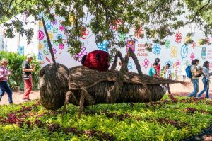 Festival de Flores y Jardines 2024 : Actividades y spots imperdibles