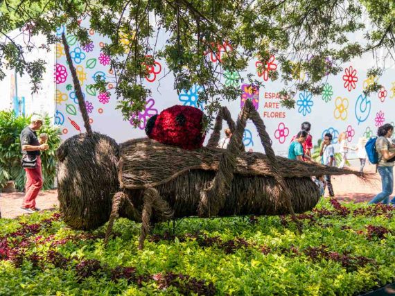 Festival de Flores y Jardines 2024 : Actividades y spots imperdibles