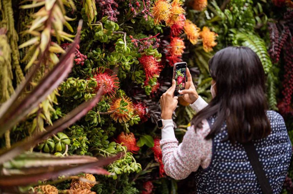 festival de flores y jardines 2024