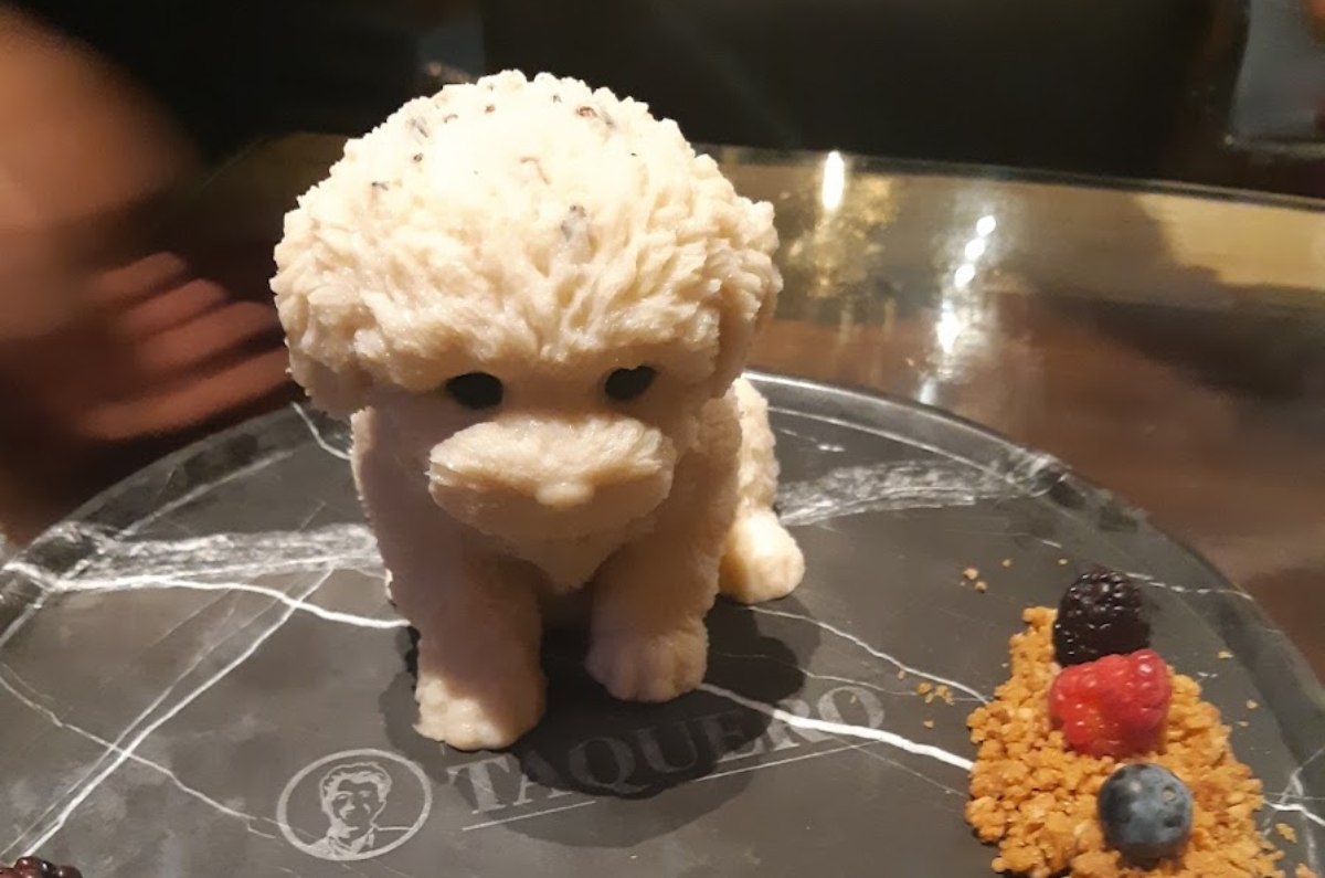 gelatinas-con-forma-de-perrito-cdmx-2