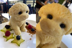 En este restaurante tienen gelatinas con forma de perrito ¡Son adorables!