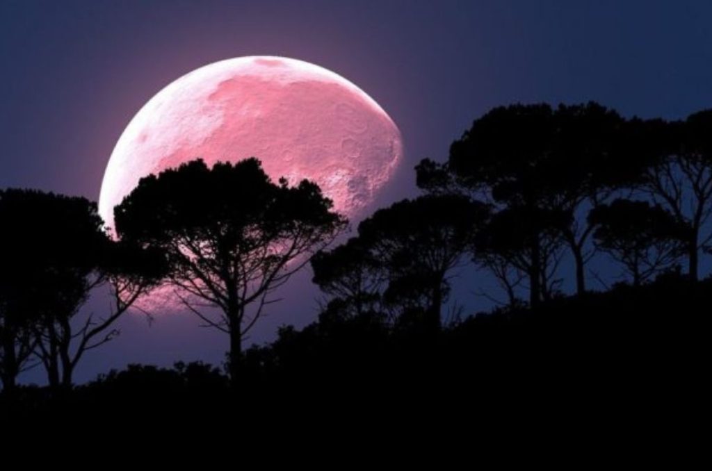 La Luna Rosa iluminará los cielos de abril