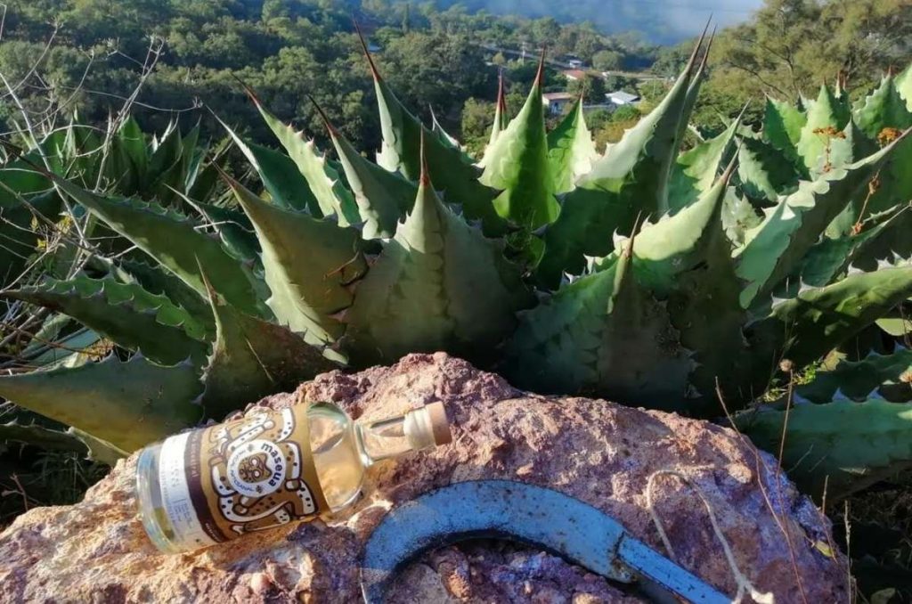 ¿Dónde será el Mezcal Fest 2024?