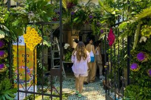 Orchid House: Visita este lugar decorado con más de 100 orquídeas