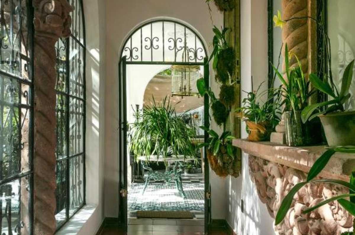 orquid-house-casa-orquidea-cdmx