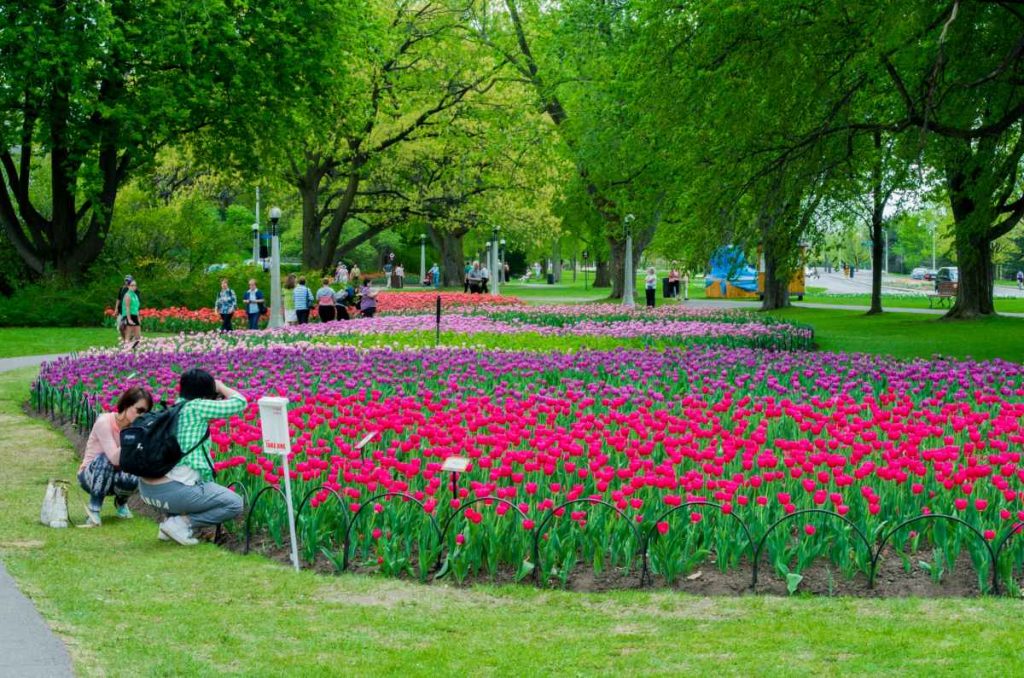 Ottawa: el destino canadiense perfecto para visitar en verano 2