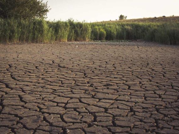 Esta sería la primer zona de México en quedarse sin agua, según la UNAM