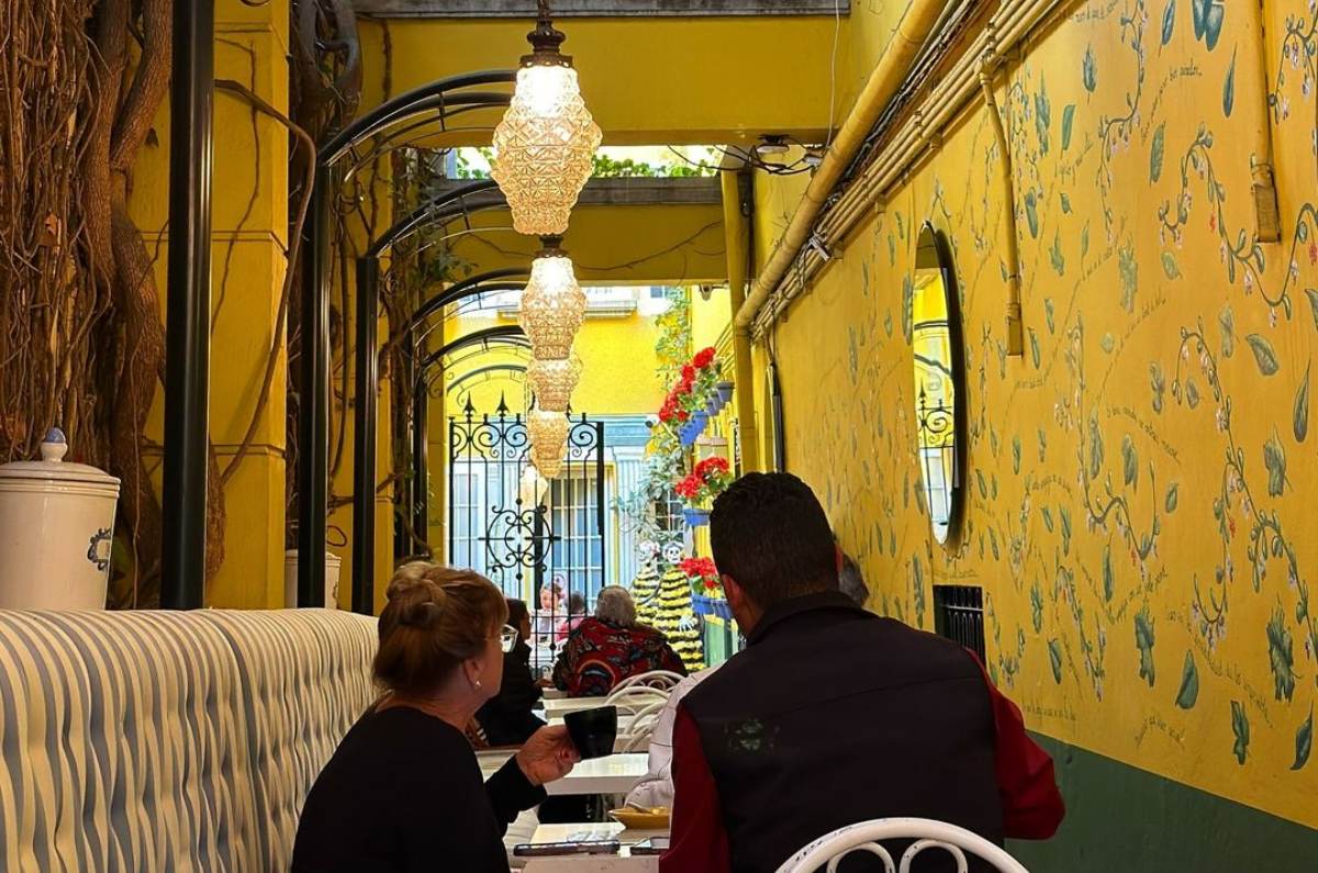 tres-abejas-la-cafeteria-en-la-roma-que-todo-biologo-amara-2
