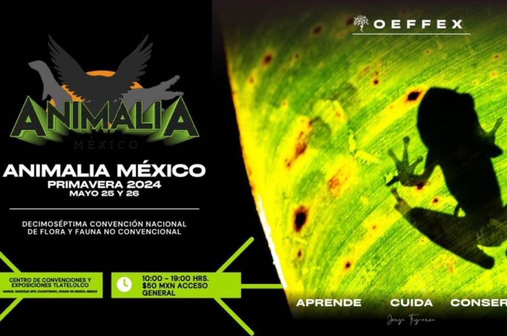 Animalia regresa con nueva edición a la CDMX