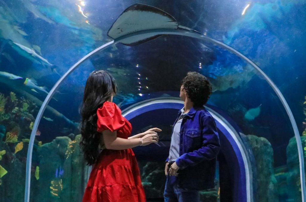 Acuario Michin e Inbursa tendrán descuento en boletos por votar 