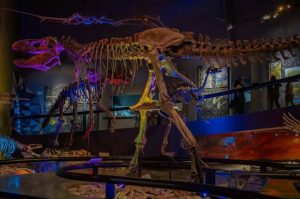 Dinosaurium: Nueva exposición de dinosaurios en Chapultepec ¡Por $70!