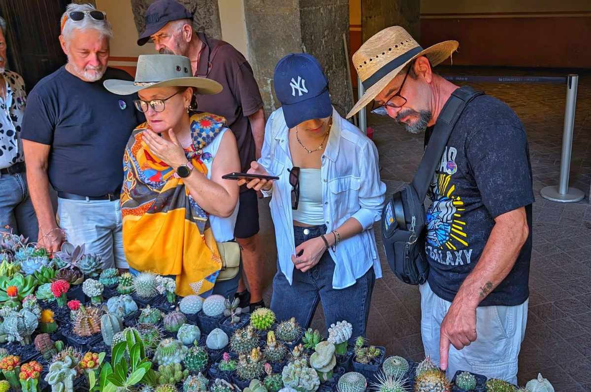 Foto: Festival Cultural de las Cactáceas / APC México