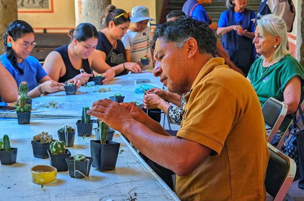 festival-de-suculentas-y-cactaceas