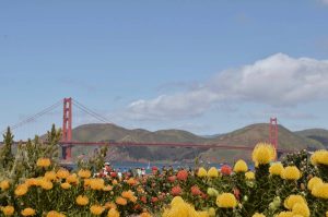 Guía para visitar San Francisco: actividades, dónde comer y más