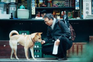 “Hachiko: Una historia verdadera”, esta nueva película llega a cines