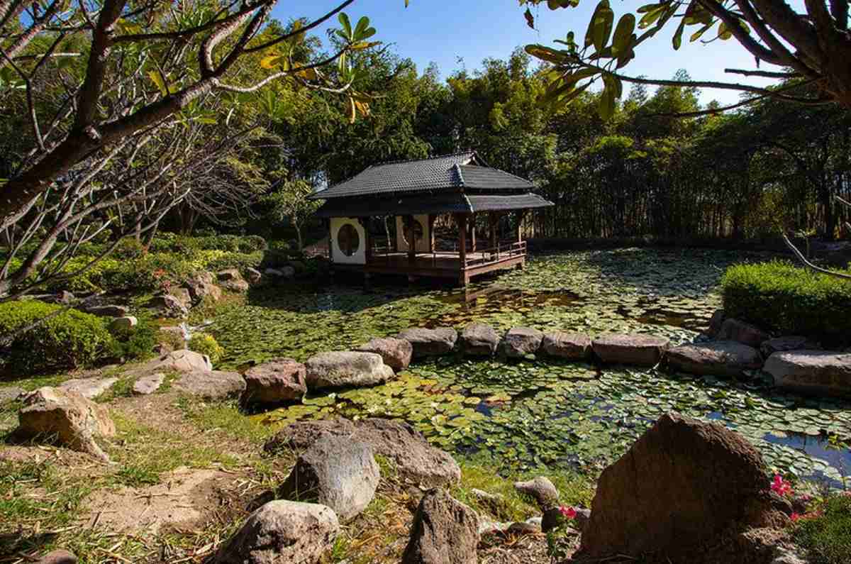 jardines-de-mexico-1